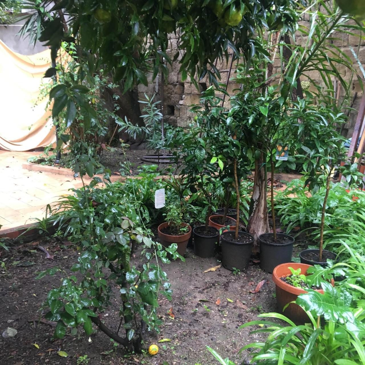 Il Giardino Di Daphne Bed and Breakfast Napels Buitenkant foto